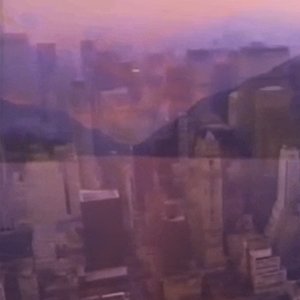 市 ／ 自然