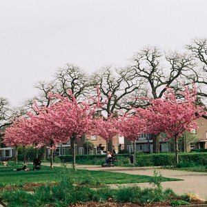 May