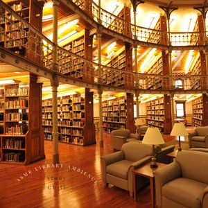 ASMR Library Ambience 的头像