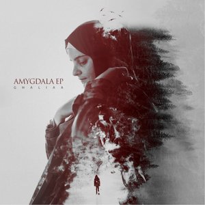 Amygdala - EP