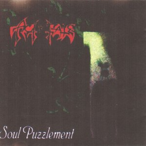Soul Puzzlement