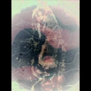 Plutonian Poetry