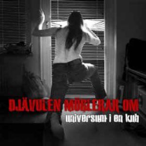 Universum i en kub