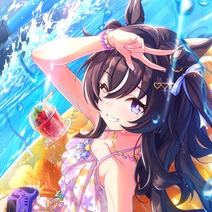 Avatar di ヴィブロス (CV. 伊藤彩沙)