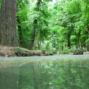 SONIDOS DE LA NATURALEZA 的头像