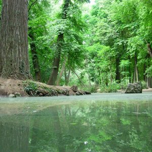 Avatar für SONIDOS DE LA NATURALEZA