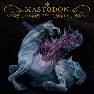 Remission cover
