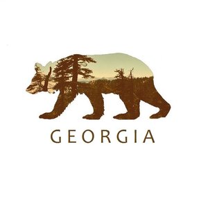 “GeorgiaUK”的封面