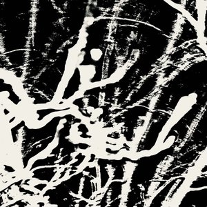 The Midnight Recordings