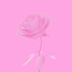 Glitches i dim Gsicht