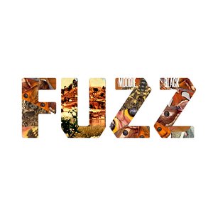 F U Z Z