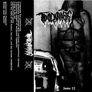 Demo II