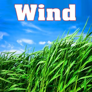 Wind - Sounds of Nature