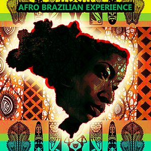 The Afro Brazilian Experience