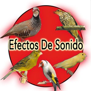 Efectos De Sonido Naturaleza:  Perdiz, Canario, Jilguero, Tordo, Roller