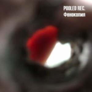 Pooled Rec. 的头像