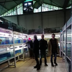 Avatar di elastic riot