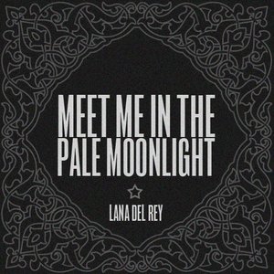 Bild für 'Meet Me In The Pale Moonlight'