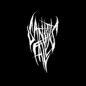 Sanitys Fall 的头像