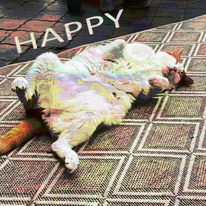 HAPPY