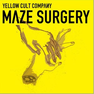 MAZE SURGERY