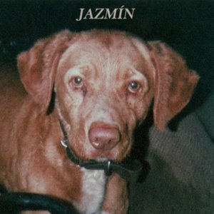 Jazmín