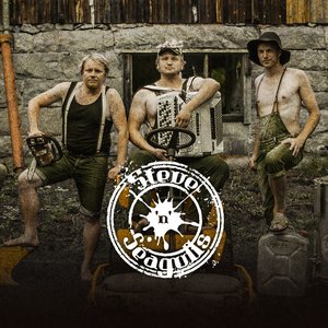 Steve'n'Seagulls のアバター