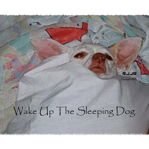 Wake Up The Sleeping Dog