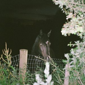 Nocturne