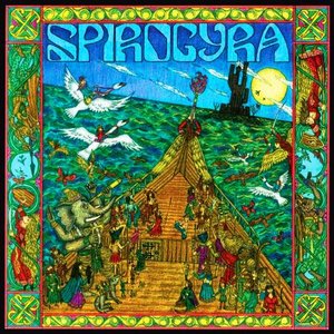 Spirogyra 5