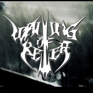 Wailing Of Relief 的头像