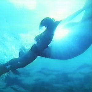tropicalsea熱帯の海