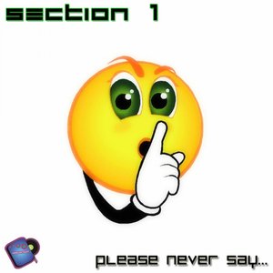 Please Never Say...
