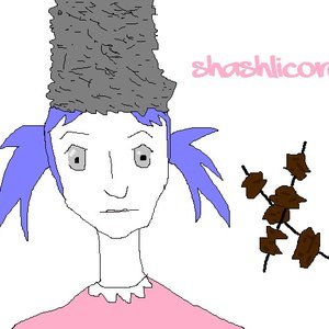 shashlicore 的头像