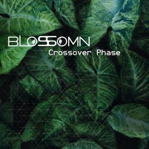 Crossover Phase