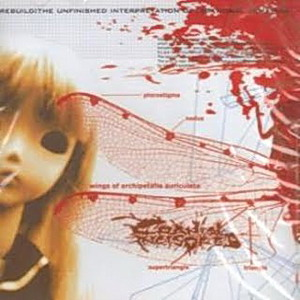 Rebuild-Reform-Reinstall cover