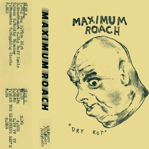 Dry Rot