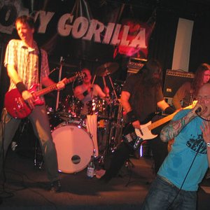 Tony Gorilla 的头像
