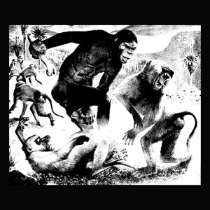 Capo Kong Demo