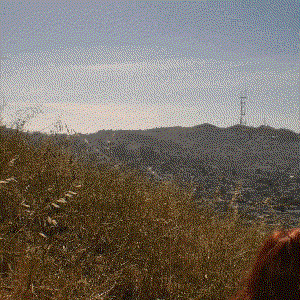 Avatar for Liten Nattskärra