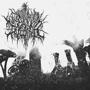 Chamber of Tvkvshapal - EP