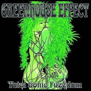 Total Sonic Fuzzdom