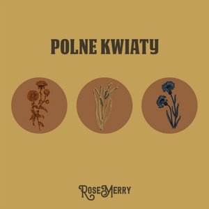 Polne Kwiaty