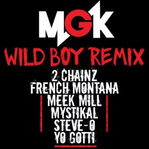 Imagen de 'Wild Boy (Remix)'