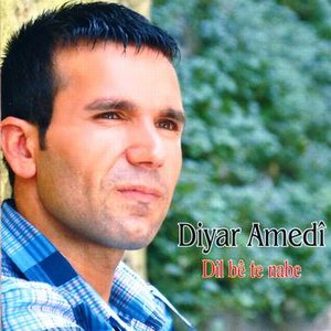 Diyar Amedi 的头像
