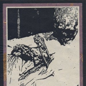 Desperate In Nirvana