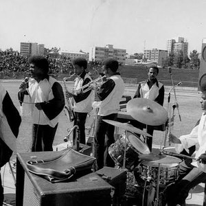 Hailu Mergia, The Walias 的头像