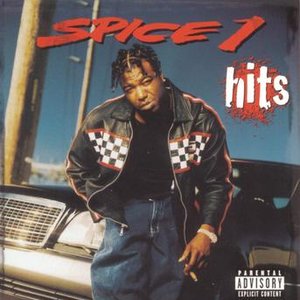 Best Of Spice 1