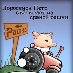 Поросенок Петр 的头像