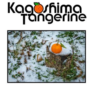 ⦓🍊⦔ タンジェリン 的头像